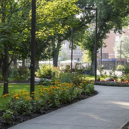 University Of Alberta - Hotel Edmonton Ngoại thất bức ảnh